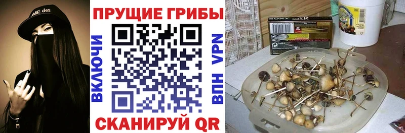 цены Горняк дарк нет состав Псилоцибиновые грибы прущие грибы